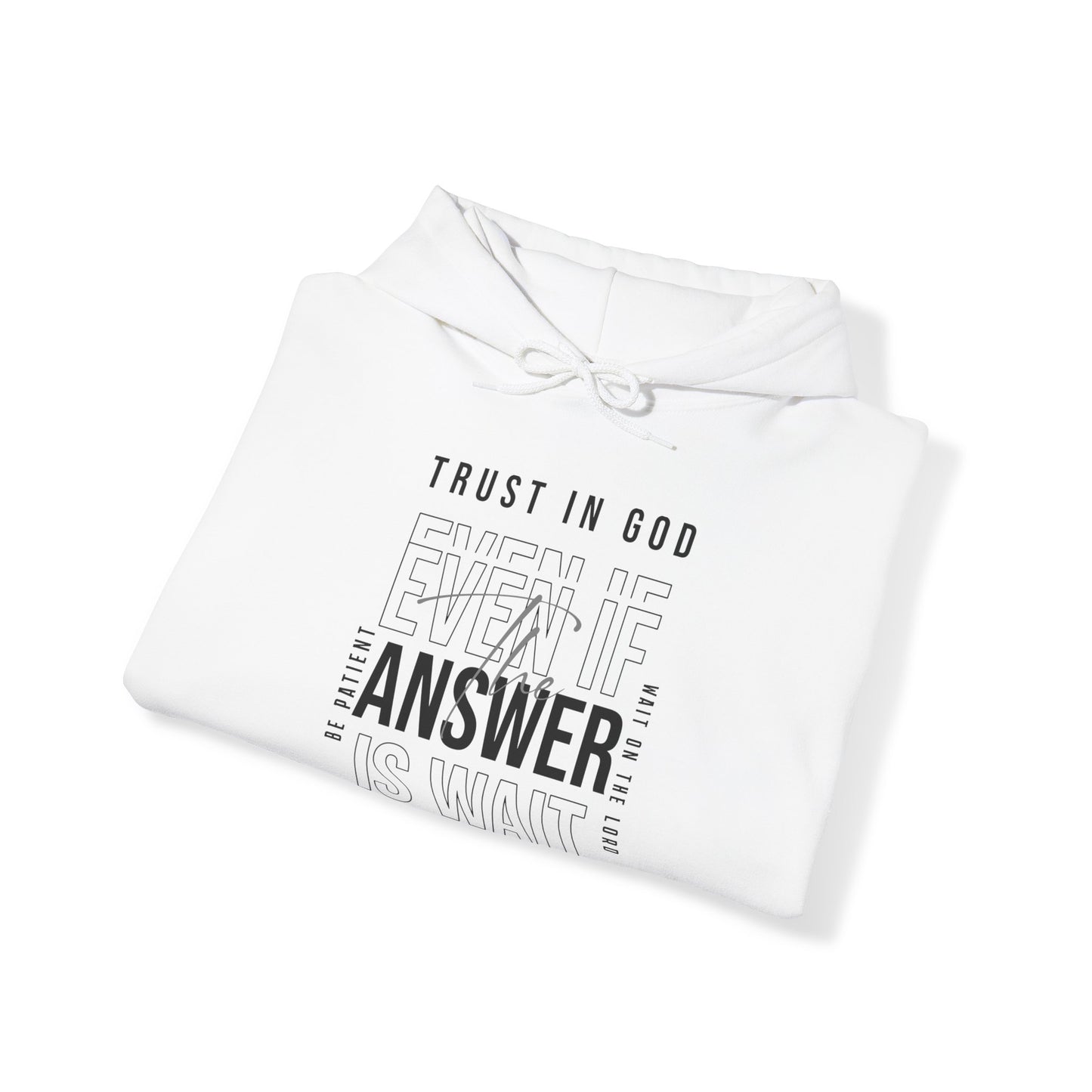 "Trust In God" Adult Unisex Hoodie