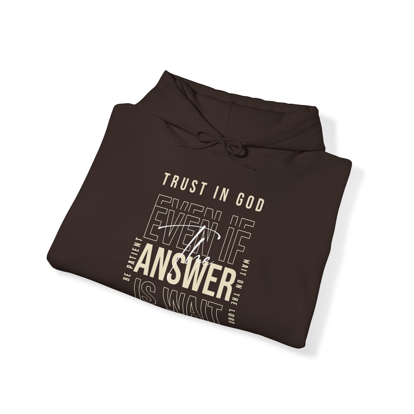 "Trust In God" Adult Unisex Hoodie