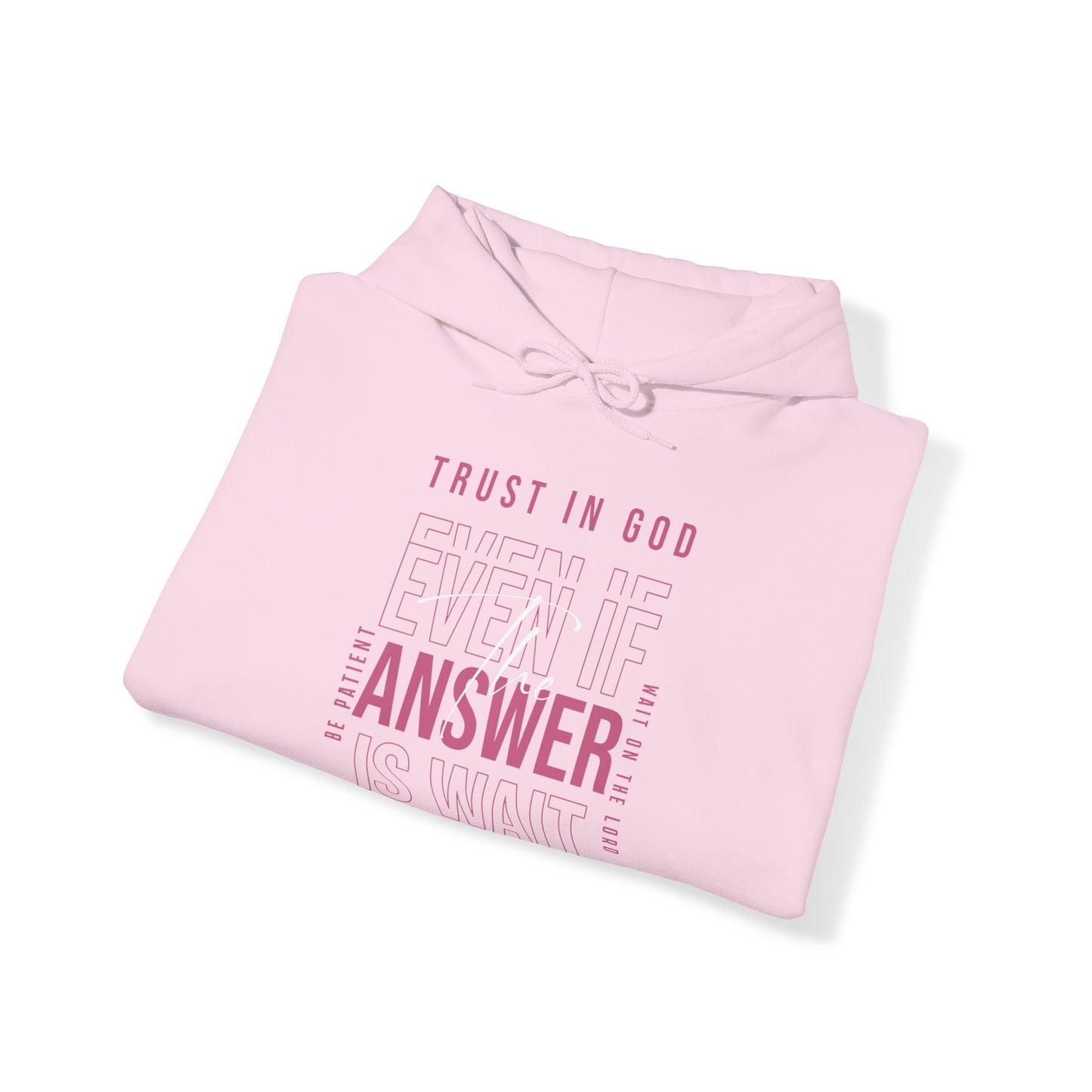 "Trust In God" Adult Unisex Hoodie