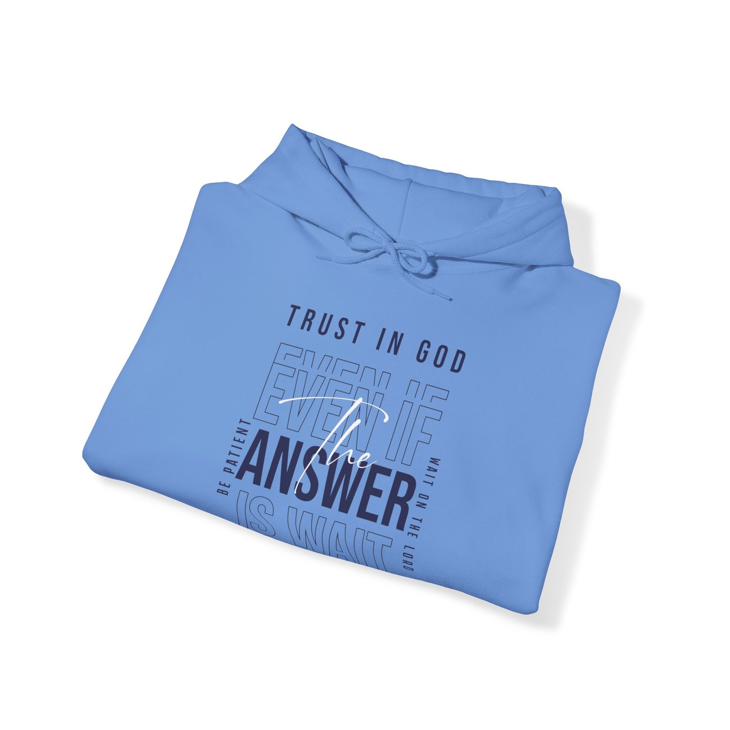 "Trust In God" Adult Unisex Hoodie