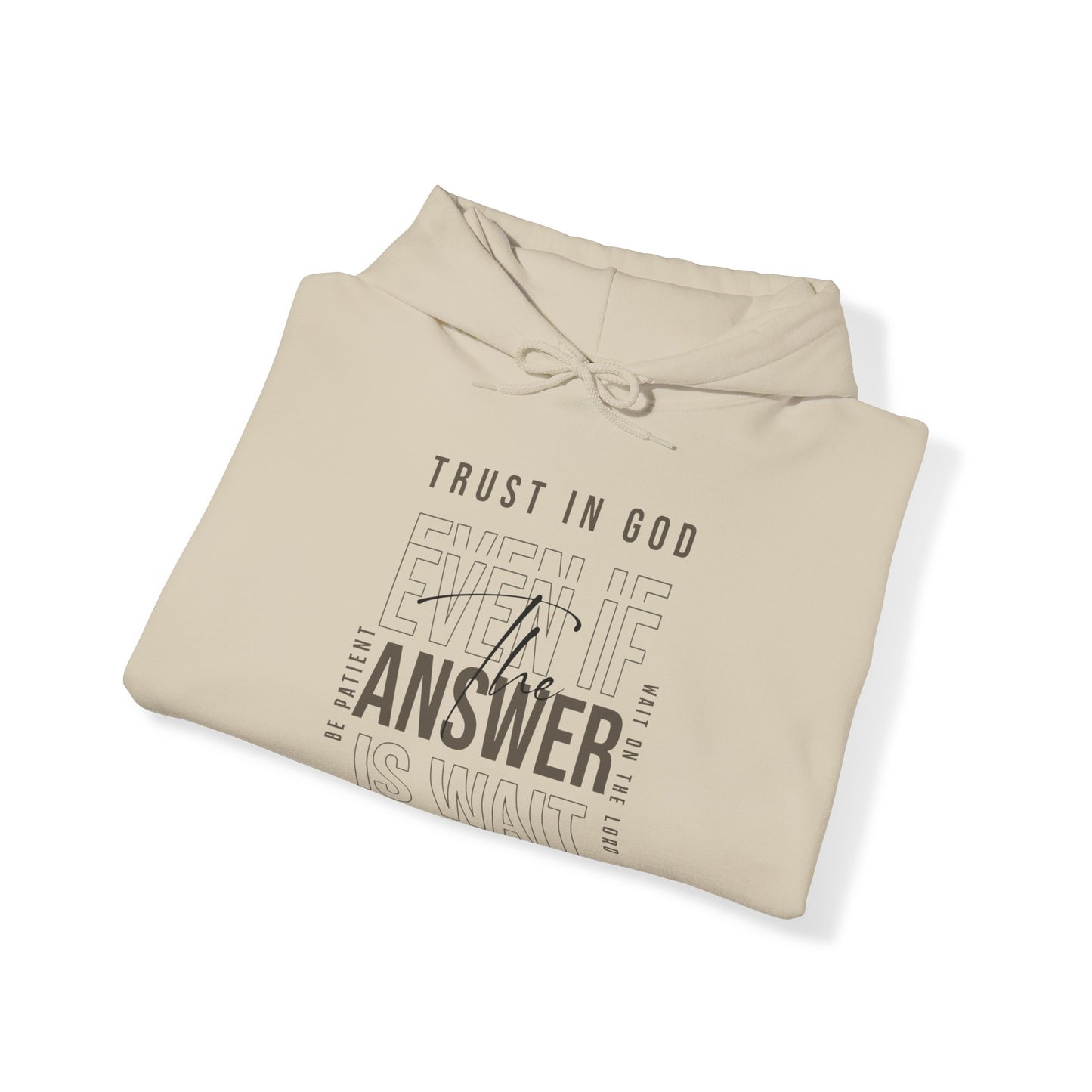 "Trust In God" Adult Unisex Hoodie